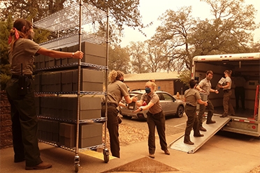 National Park Service employees loading archival records on Tuesday afternoon. (Photo courtesy of Paul Hardwick, NPS)