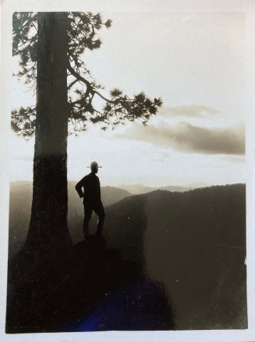 Ranger under tree looking out at mountains