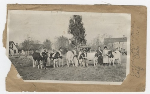 Dos Palos Calf Club, 1920