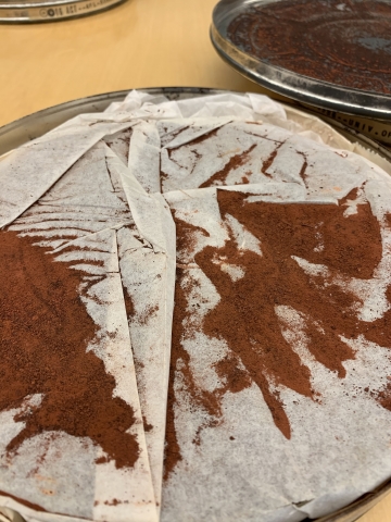Red powder flaking off film cans